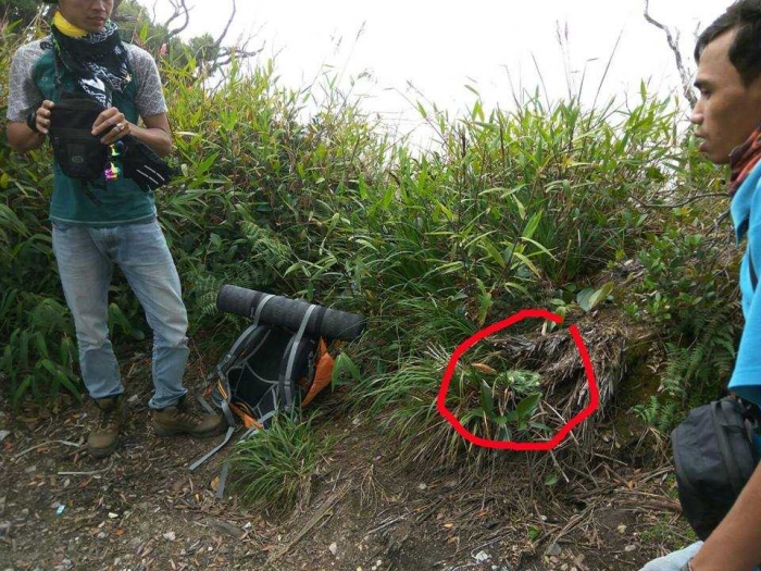 Pangkal Bala Percaya Mitos Bunga Edelweiss oleh Sutomo Pangkal Bala Percaya Mitos Bunga Edelweiss oleh Sutomo