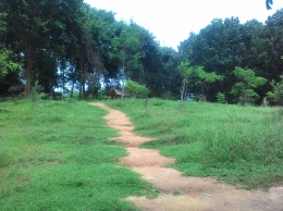 Jalan setapak di Kawasan Cemoro Pitu.