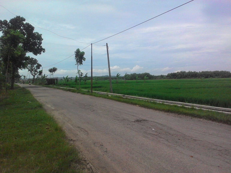 Jalan menuju Desa Greneng yang bergelombang dan berjerawat.| Dokumentasi pribadi