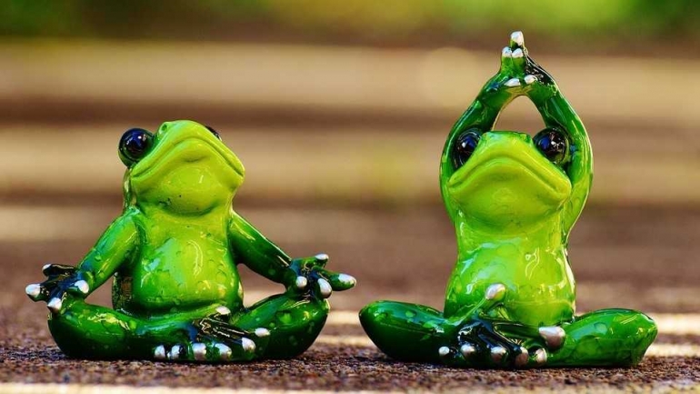 Kodok sedang melakukan yoga (maxpixel.freegreatpicture.com)
