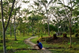 Lokasi eks galian C yang kini telah rimbun dengan berbagai pohon yang ditanam sejak beberapa tahun lalu.