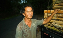 Yance sudah bertahun-tahun membuka usaha sebagai pengumpul sekaligus penjual buahan-buahan asli Desa Pangu (dok. pri).