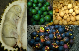 Buah-buahan hasil kebun warga di Desa Pangu, Minahasa Tenggara, Sulawesi Utara (dok. pri).