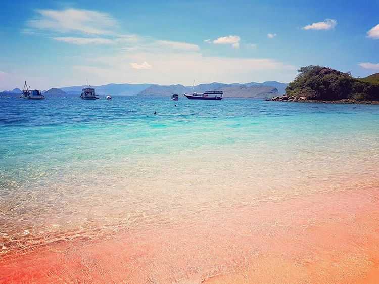Pantai Pink di Lombok, sumber ig @2bagpacks1map