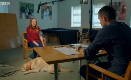 Kantor yang memperbolehkan membawa anjing saat kerja untuk mengurangi stress Sumber : Screenshot BBC Earth