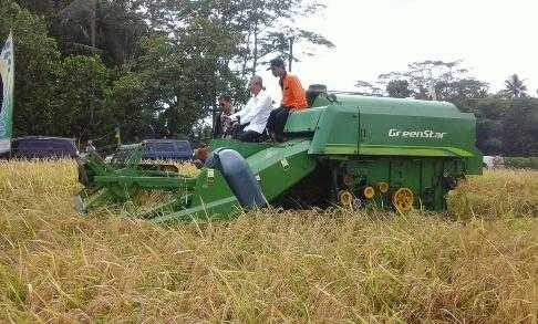 Kepala Balitbangtan, Muhammad Syakir saat panen padi gogo menggunakan mesin panen di Desa Banjareja, Kecamatan Puring, Kebumen pada Senin (12/2/2018). Foto Setiyo