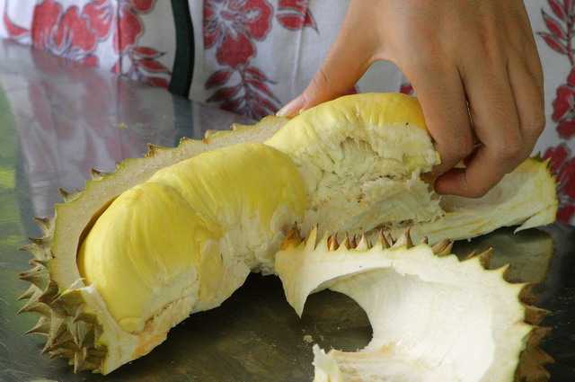Durian di Rayong Thailand.