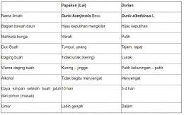 Perbedaan 3 jenis durian (dok. Balai Pertanian).