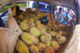 Inova untuk jualan duriani di Pasar Nangan Bulik Lamandau (dok.pri).