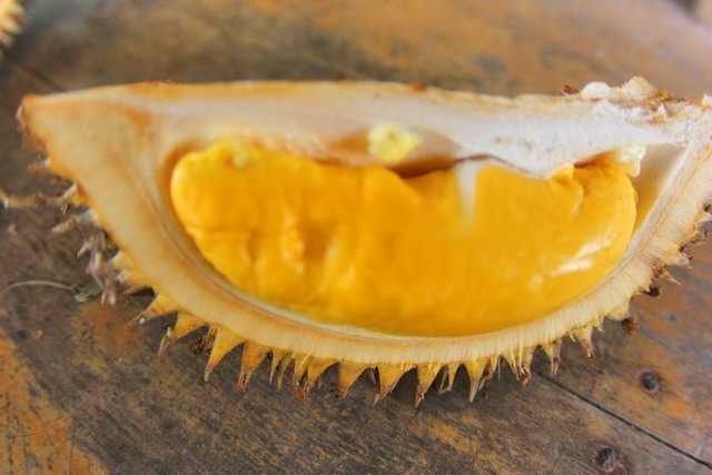Warna durian lokal Kalimantan (dok.pri).