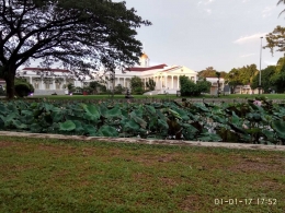 Istana Bogor dilihat dari KRB (Foto: Irwan Lalegit)
