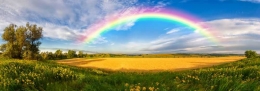 sumber foto: www.rainbowresidence.ca