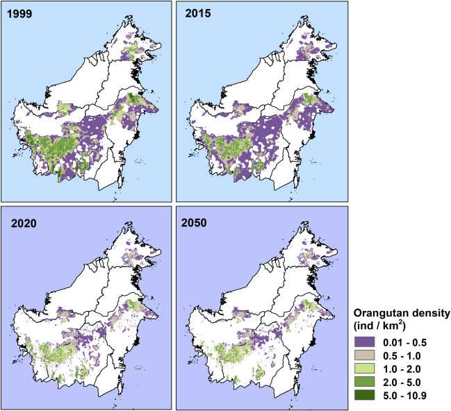 Laju penciutan populasi orangutan. Sumber: Voigt et al (2018)