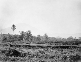 piek van de vulkaan (vermoedelijk) Korintji gezien vanaf Loeboe Gedang gezien Sumatra`s Westkust 1877-1879, Dok. commons.m.wikimedia.org
