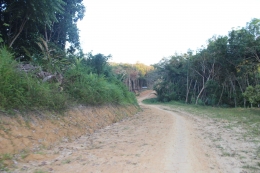 Kondisi Jalan Masuk Menuju Dusun Sungai Tuba (dokumentasi pribadi)