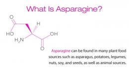 Struktur kimia Asparagine yang umum ada dalam makanan . Photo:www.aminogenesis.com 
