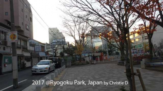 Dokumentasi pribadi. Lingkungan Ryogoku Park, yang dikelilingi oleh pemukiman padat penduduk lokal.