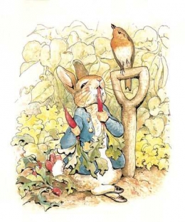Peter dalam buku dongengnya (sumber: http://peter-rabbit-and-friends.wikia.com)