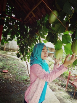 Selly, puteri Mince, tengah merawat buah erbis di kediamannya. Foto | Dokpri