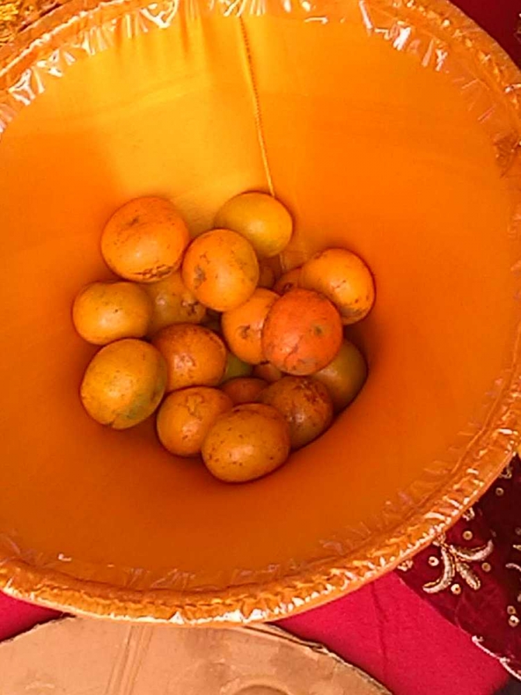 Aneka buah jeruk