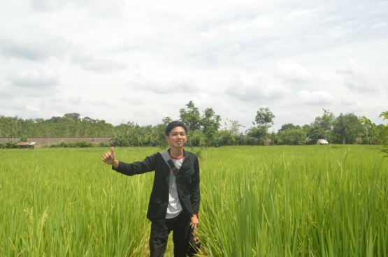 Hamparan sawah di Desa Tanjung Raman. Sumber: Dokumentasi Pribadi