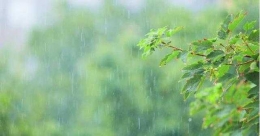 Rain in Kupang city (Foto: Netralnews.com)
