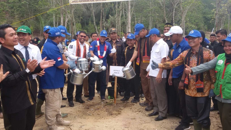 Saat Melakukan Penanaman Perdana Tanaman Pengganti Ganja/Foto: Sahrial