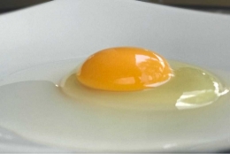 kuning telur lebih padat,terasa masir di mulut, bila di makan mentah sensasi telur setengah matang yang di rasakan