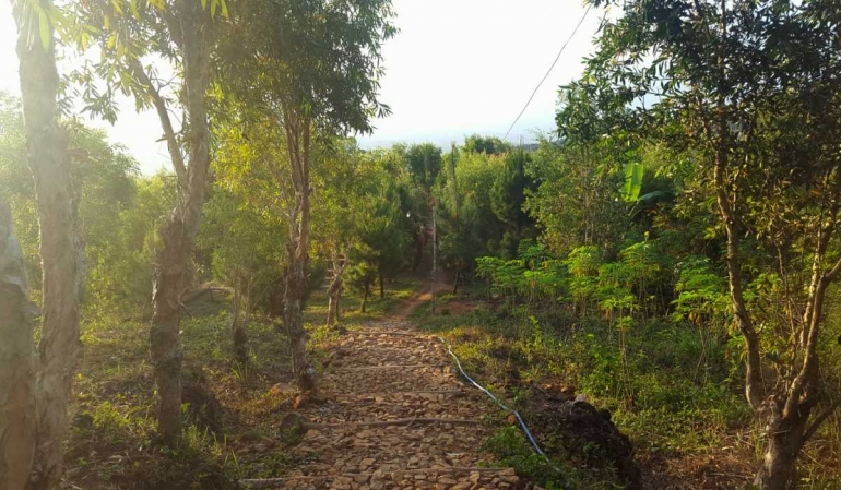 Jalan menuju puncak Lintang Sewu (dok. pri).