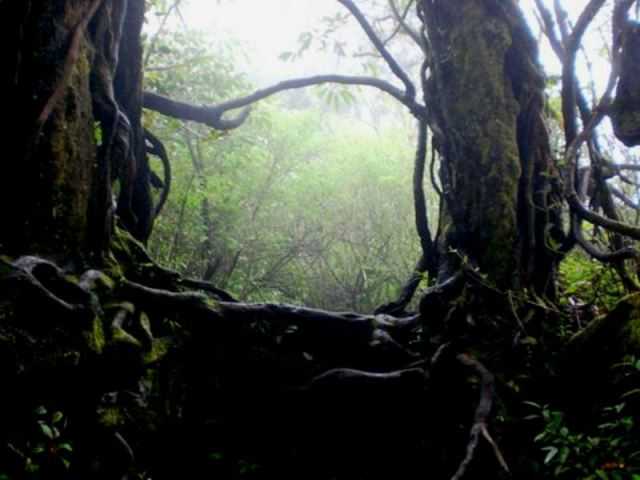 Sumber: bacaterus.com