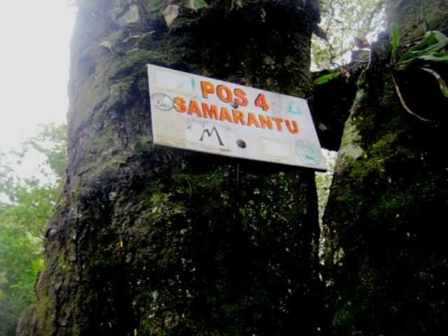 Sumber: bacaterus.com