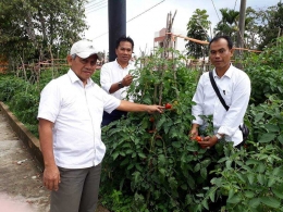 Gambar 3, Kunjungan Staf Ahli Mentan, Mukti Sardjono ke lahan pertanian organik di BDP Aceh (Doc. FMT)