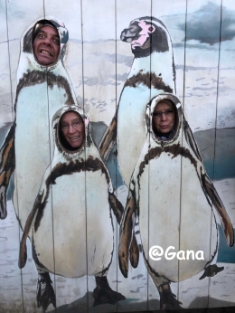 Bahagianya keluarga Pinguin (dok.Gana)
