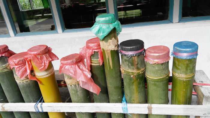 DADIAH. Ruas bambu ini berisi dadiah, fermentasi susu kerbau, sebagai bahan membuat ampiang dadiah. (Foto: Gapey Sandy)