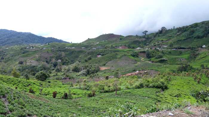 Pemandangan ciamik di Alahan Panjang, Kab Solok. (Foto: Gapey Sandy)