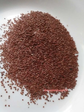 Seri Kenangan Masa Kecil Telur Kodok Obat Bisul Kompasiana Com