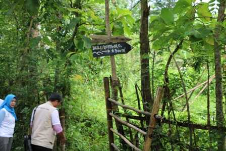 Gerakan Tanam 1000 Pohon di Puncak Bulu Tombolo Untuk Peringati