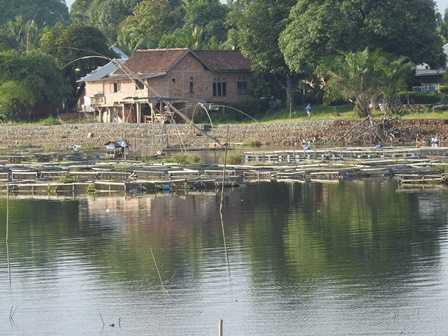 Keramba Ikan Memenuhi Danau (Dokpri)