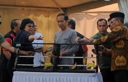 Presiden Lepas Liarkan Burung, KLHK: Akan Digelar se-Indonesia (dok/Humas-KLHK)