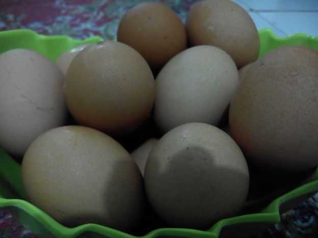 Telur telur berubahlah jadi cake, kue kering atau masakan lainnya yang lezat (dokpri)