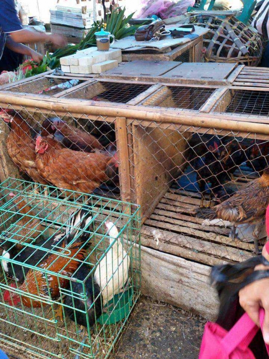 (dokpri) Saat kami belanja di pasar tradisional (pasar anyar, Bogor)