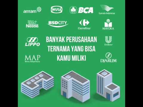 Bangkrut bermain forex