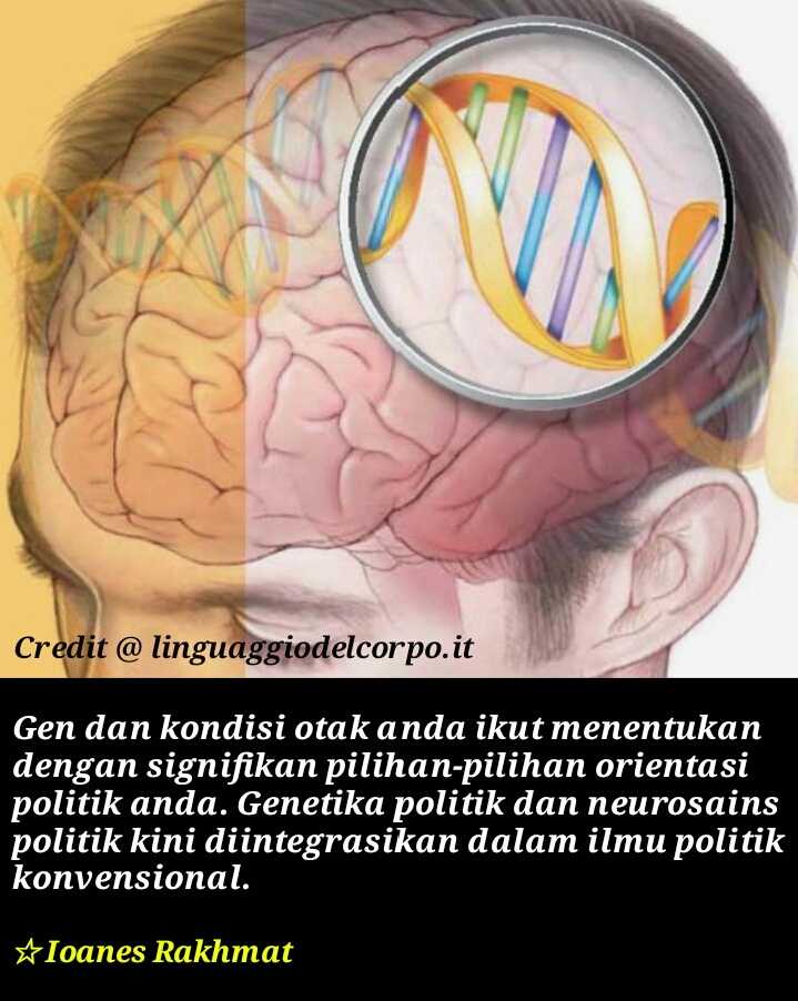 Sumber gambar: linguaggiodelcorpo.it