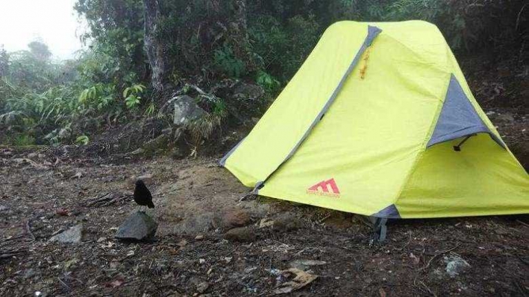 Setia menunggu di depan tenda (Dok. Pribadi)