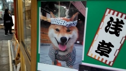 Pet Shop Asakusa Temple (dokpri)