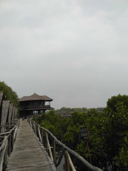 Menara Pandang Taman Mangrove (dok pri)