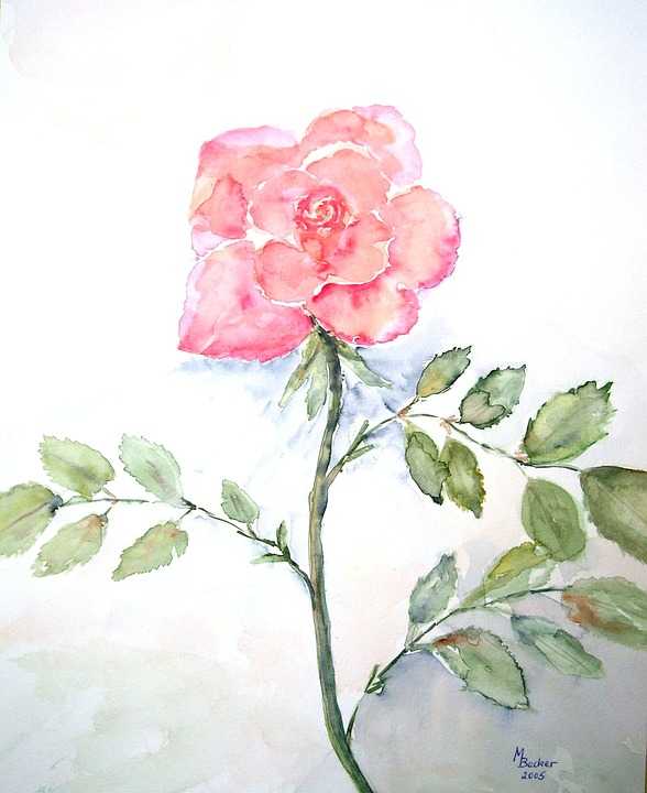 https://pixabay.com/en/rose-flower-blossom-bloom-painting-21374/
