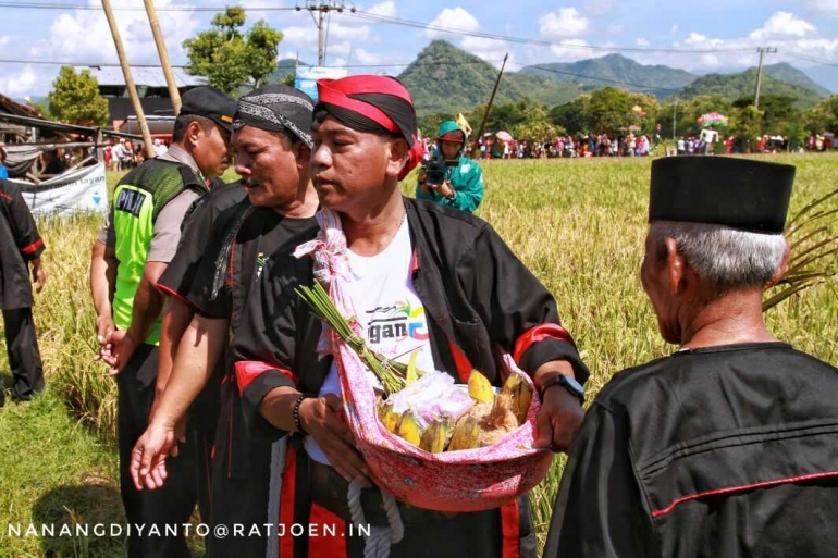 Srisedono dan Dewi Sri yang telah diikat dengan tali lawe digendong selayaknya bayi dan dibawa ke balai desa