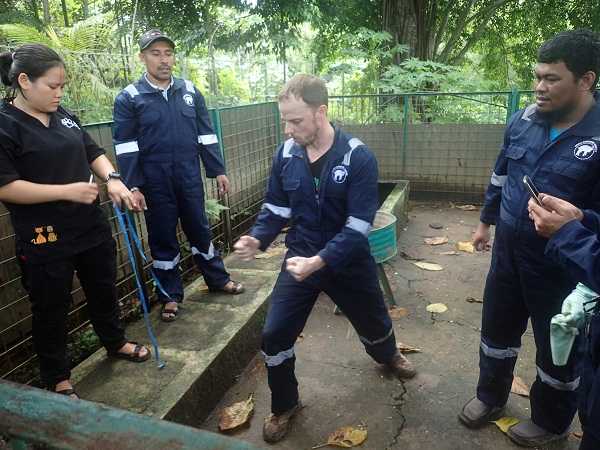 Tingkatkan Pengetahuan Konservasi Anoa