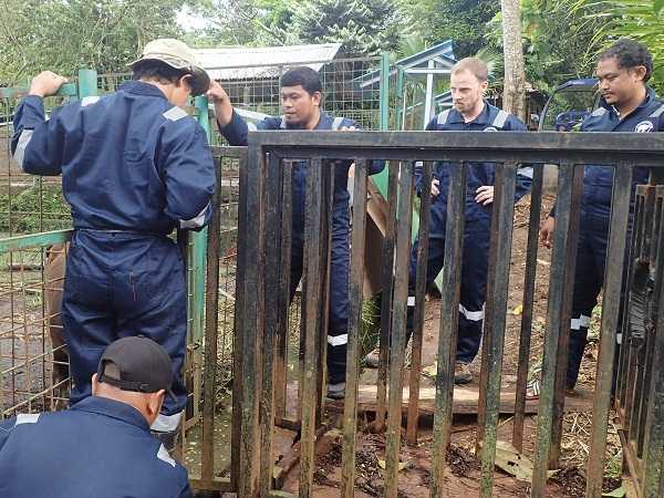 Tingkatkan Pengetahuan Konservasi Anoa